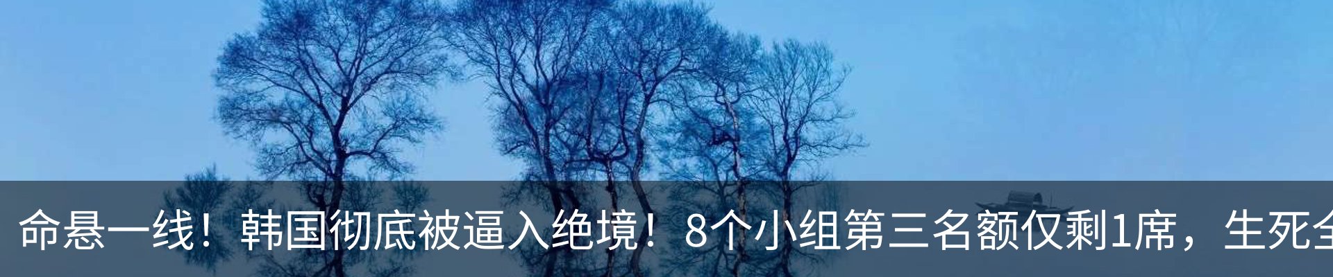 最新动态