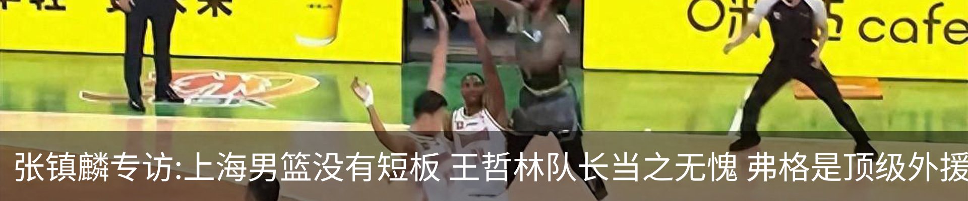 最新动态