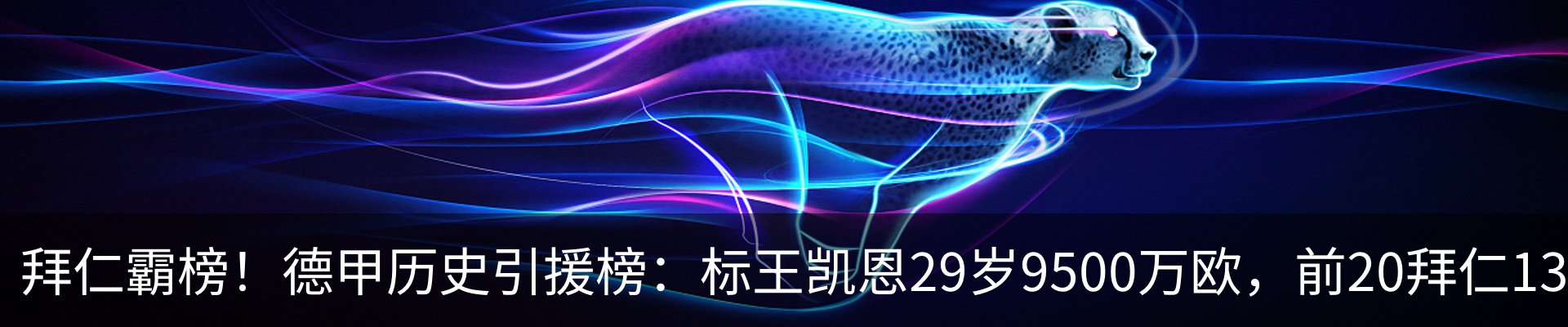 最新动态