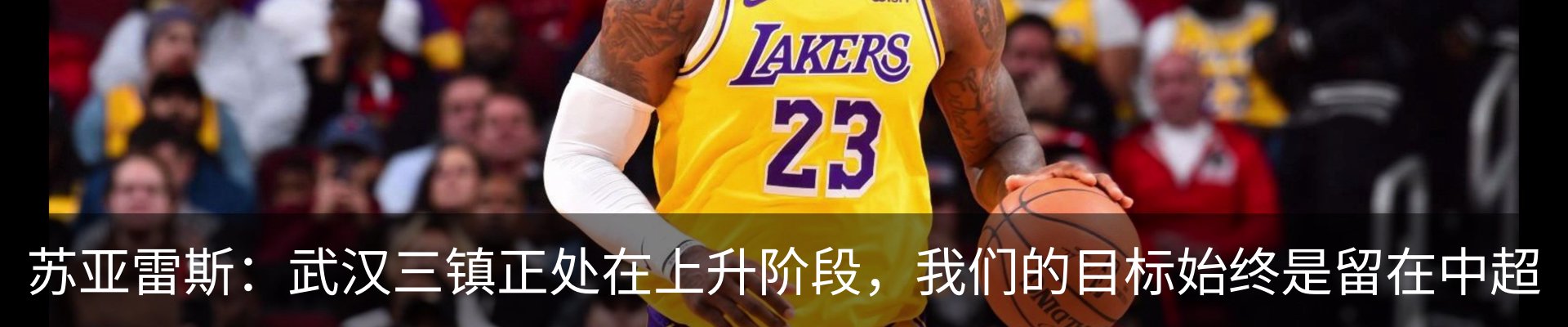 最新动态