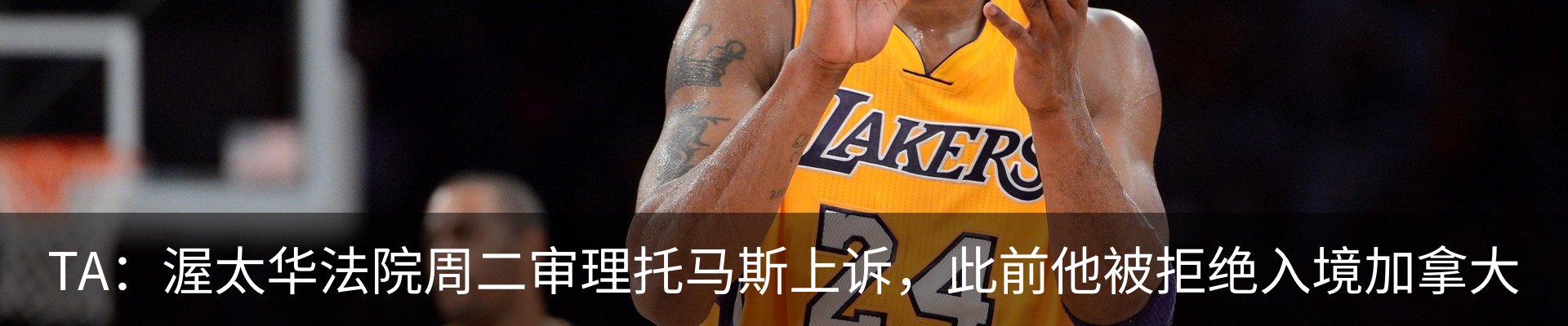 最新动态